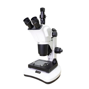 Stereo Microscope